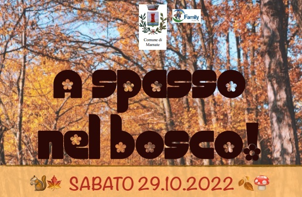 A spasso nel bosco passeggiata per vivere e recuperare i nostri boschi