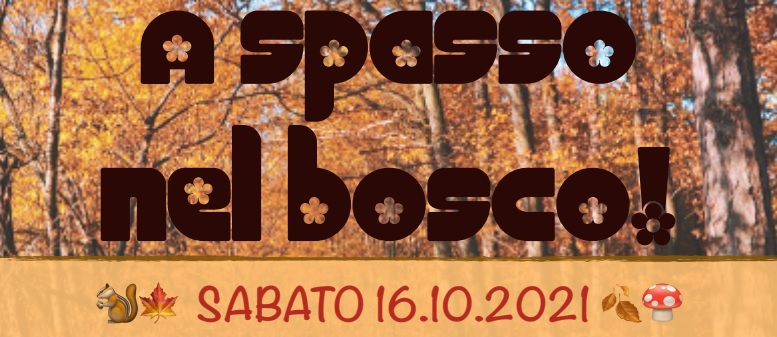 A spasso nel bosco passeggiata per vivere e recuperare i nostri boschi sabato 16 ottobre 2021