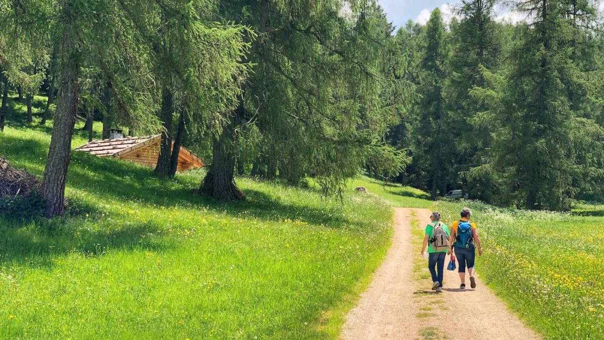Passeggiata nel bosco con pic-nic  - domenica 29 maggio ore 10,30