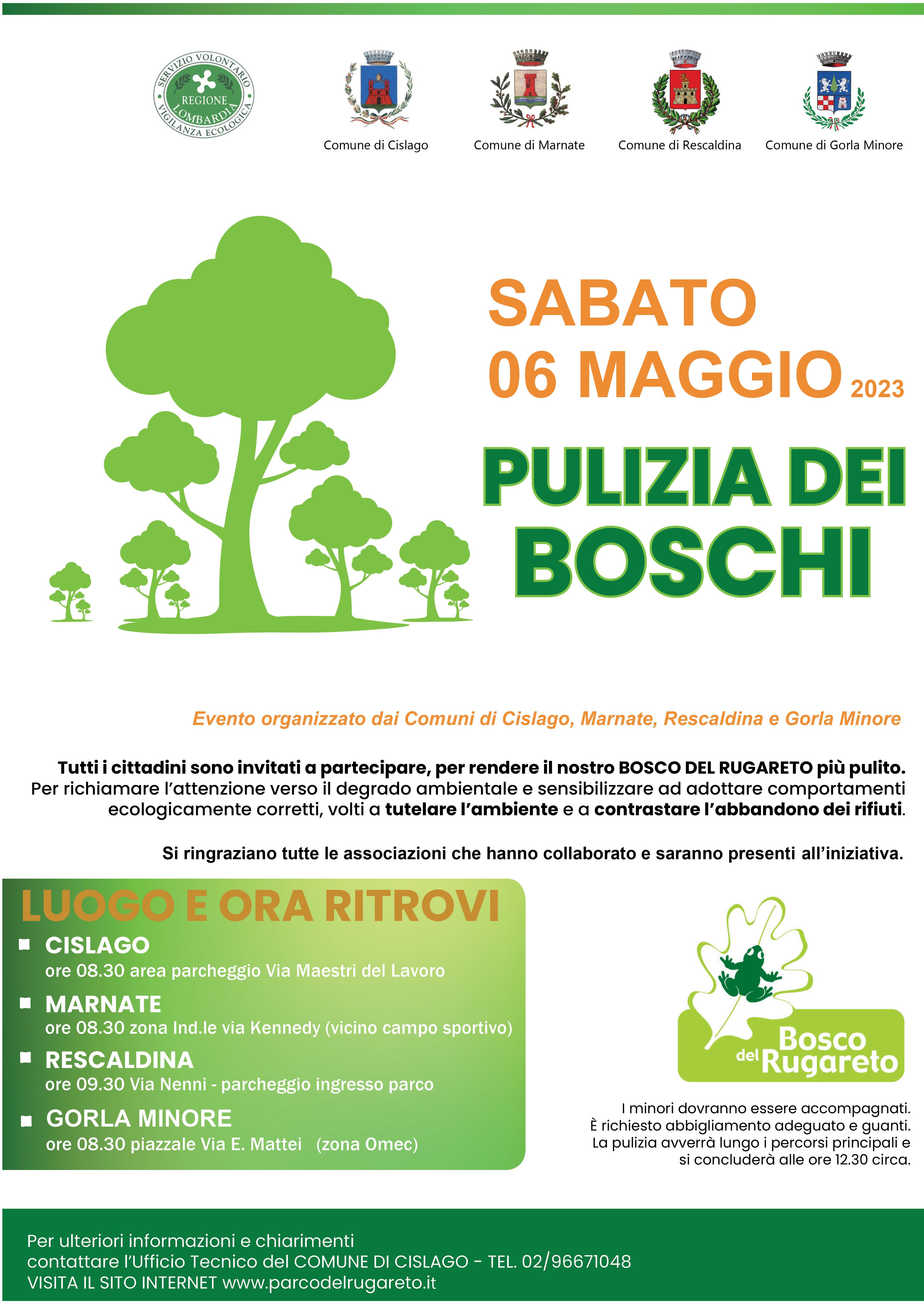 Pulizia dei boschi