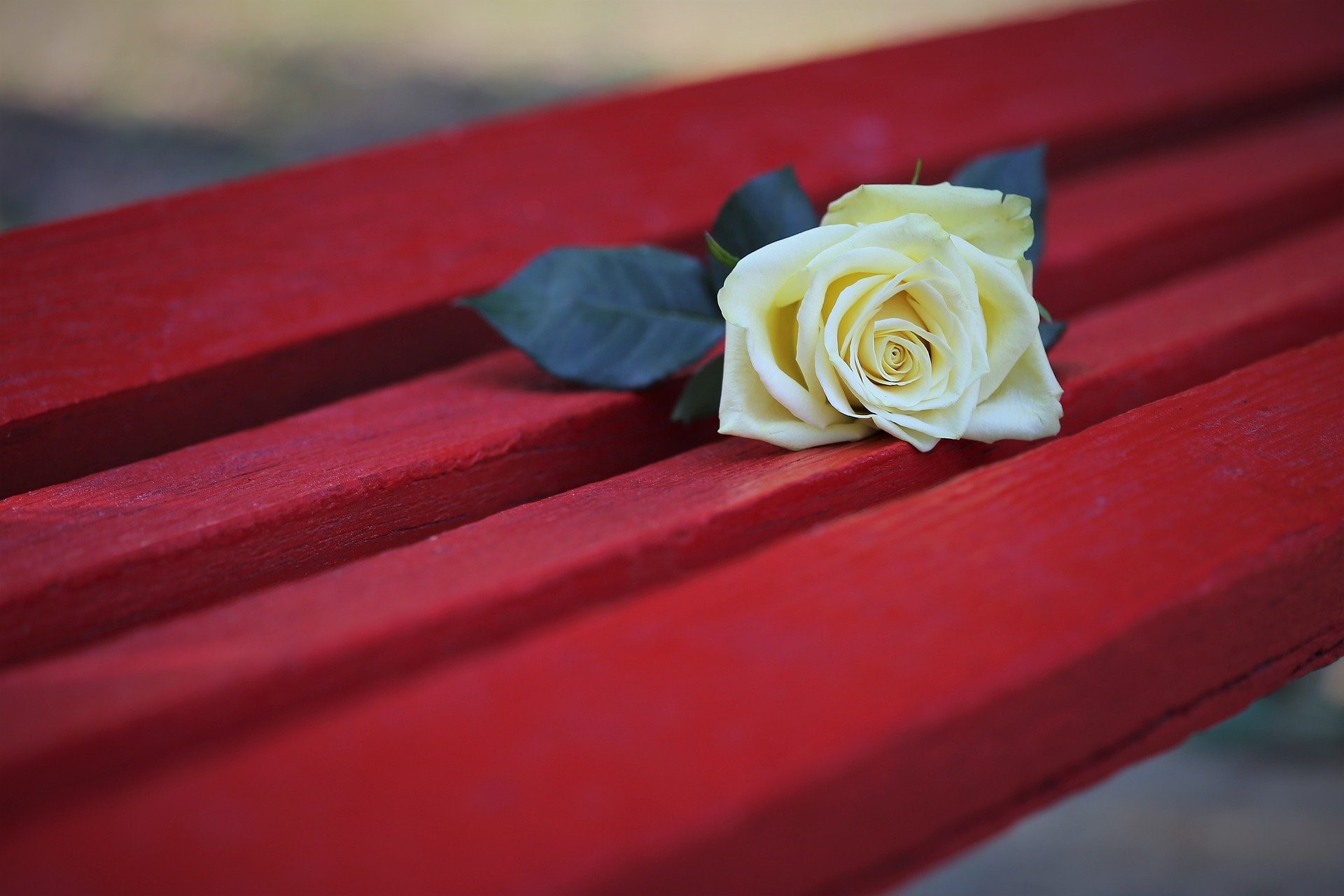Giornata per l'eliminazione della violenza contro le donne            
