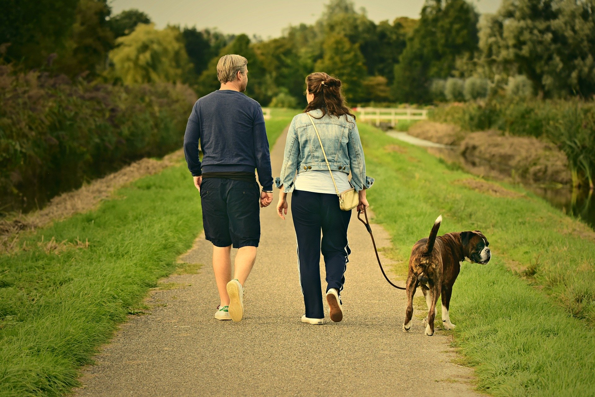 Limitazione uscite con animali da compagnia