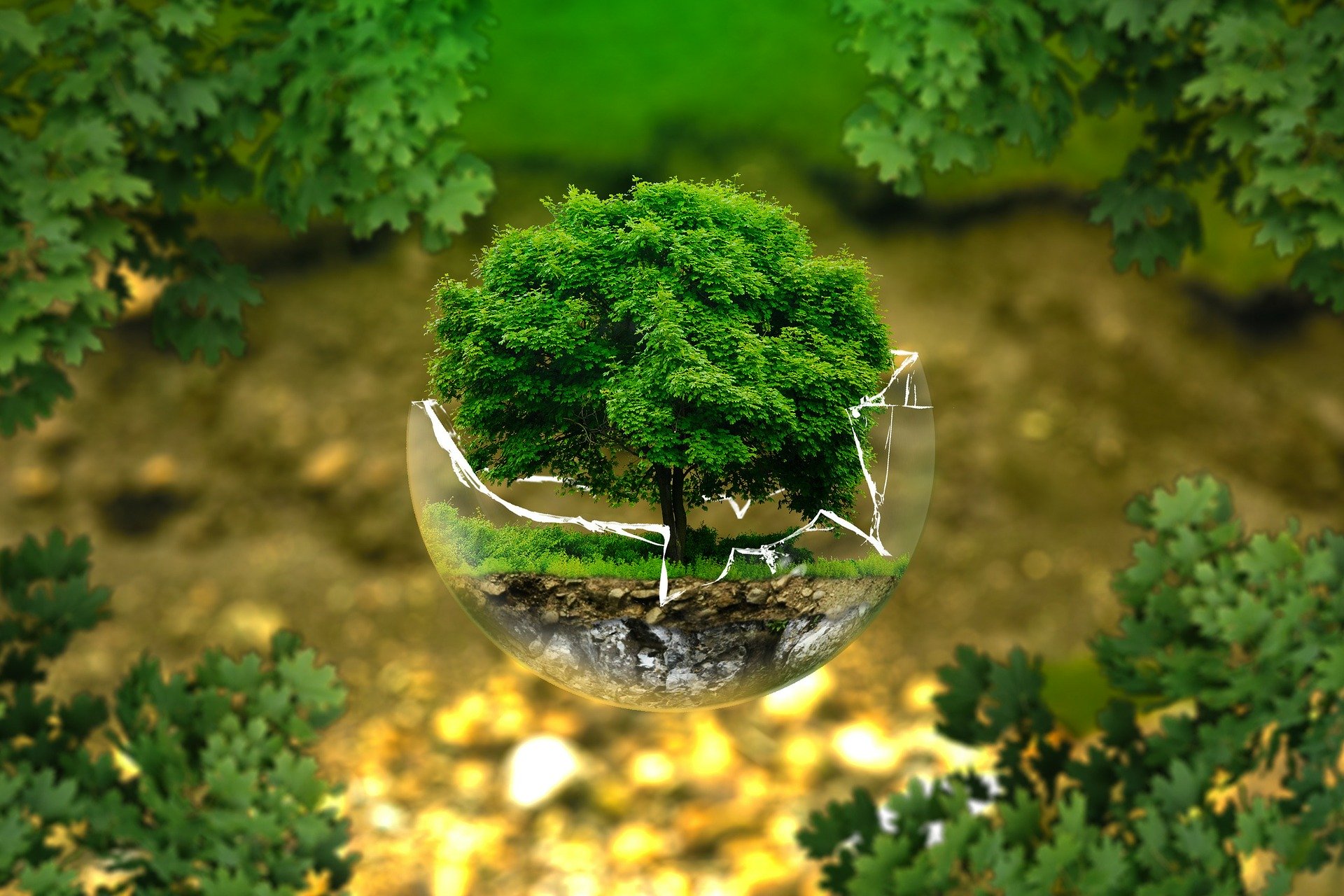Notizie dall'Ambiente