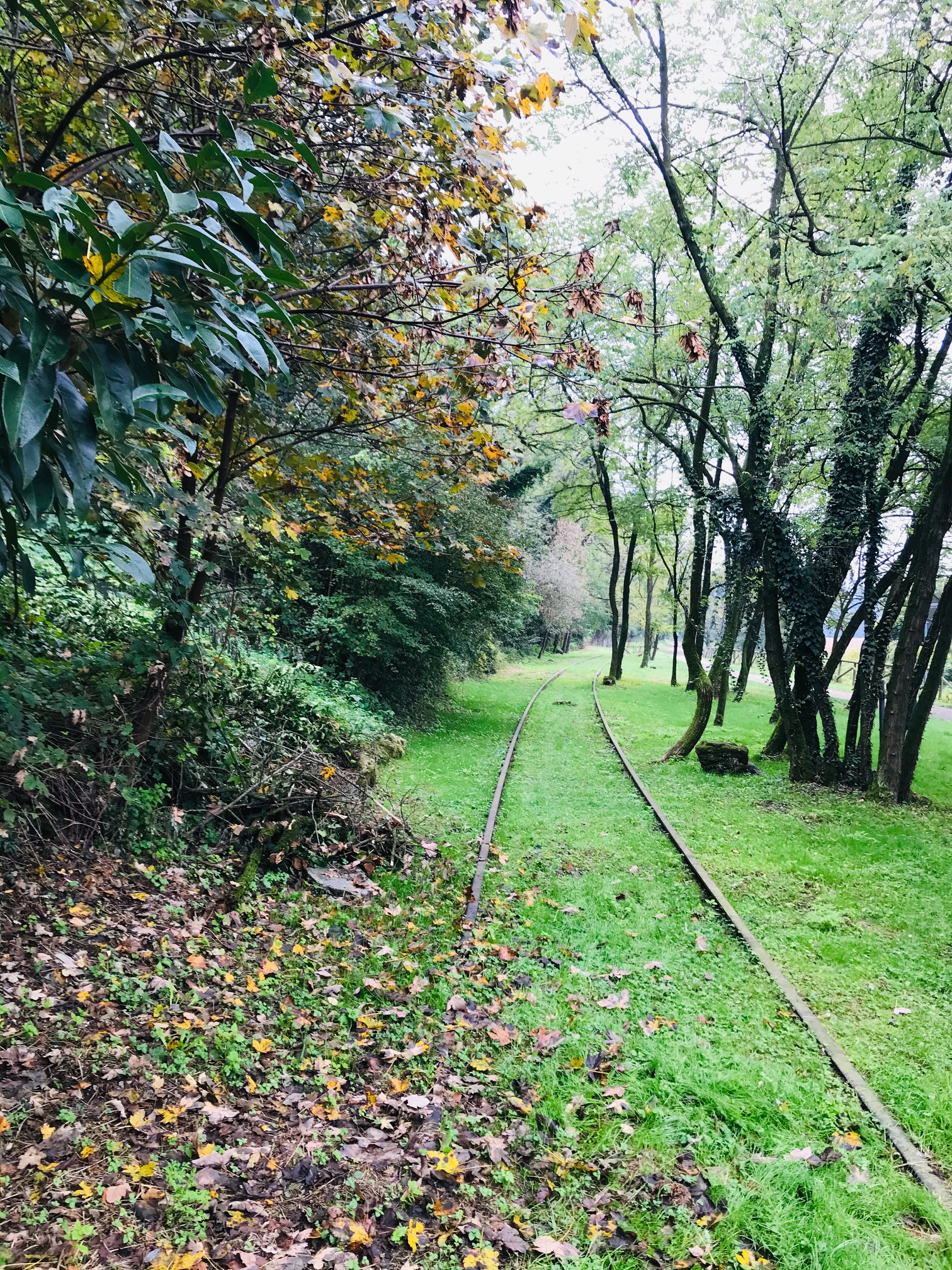 Aggiornamenti COVID19 Marnate - 15.11.2020