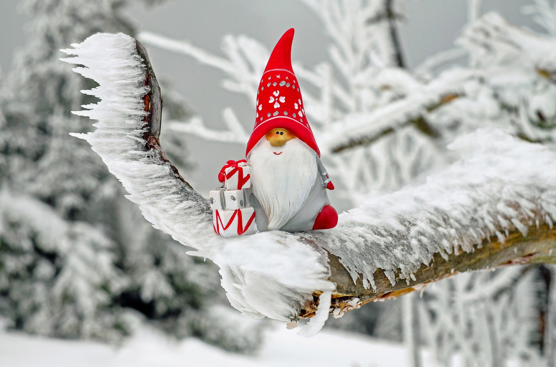 Aggiornamento Covid 24.12.2020 e Auguri di Buon Natale